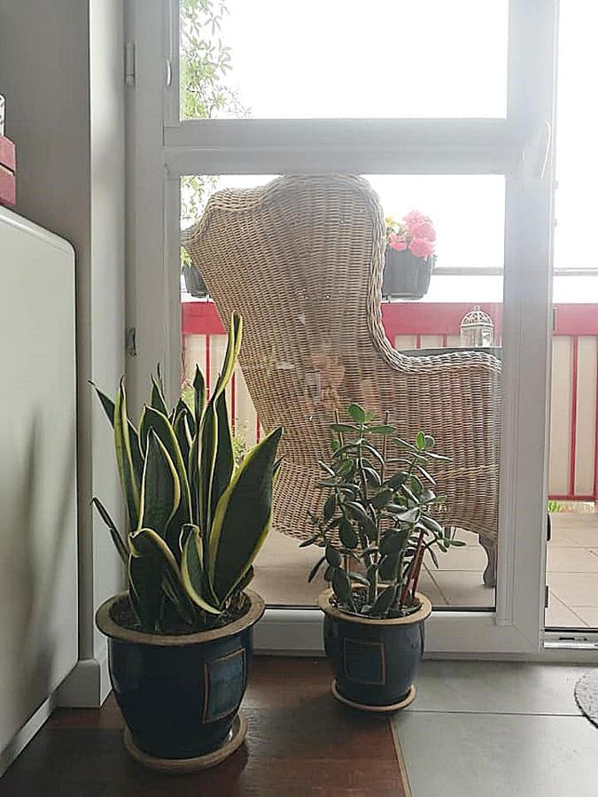 Apartment Przystanek